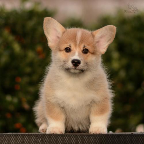 27263550 8a996734c939cadf67d3fe01a5ac4e0a xl