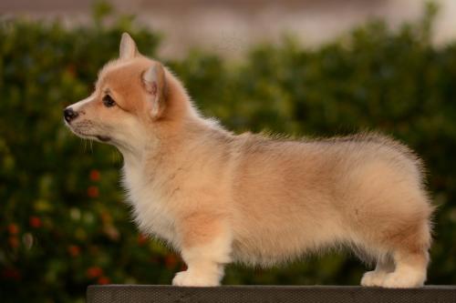 27263552 53aebca5f6c82b9114497aa857d77b2d xl