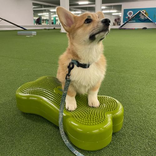 27280130 631e11b6074a91fc3ed2e736a047be30 xl