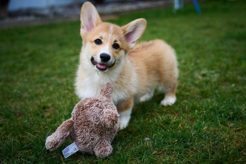 27280132 0f81754b224cadc233dc4aef3b084218 xl