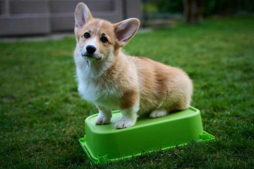 27280134 94198a6ad151bb02394a91b915ec7cfa xl