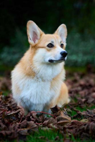 461006904 1207147243828675 5499716600356193176 n