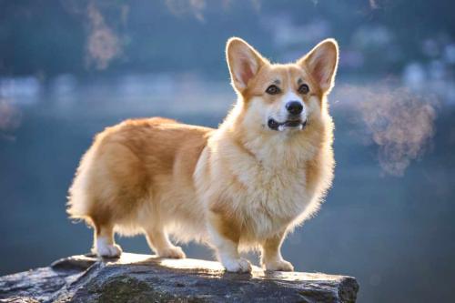 462540524 905668761083667 8023552337947045029 n