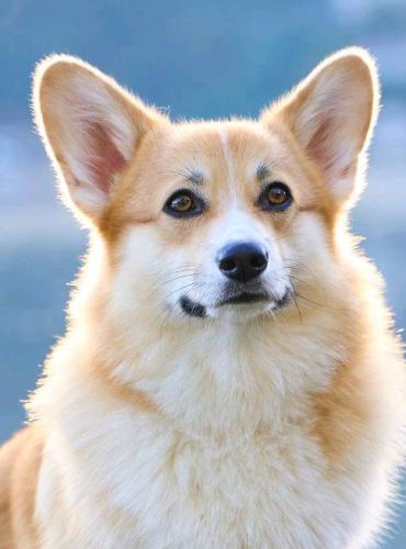 464918442 10232315212199418 7010887914630694376 n