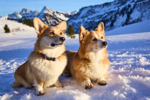 470051827 554265364147704 346265171451232826 n