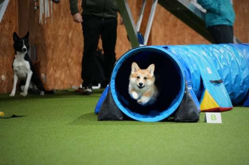 475388466 633650119052865 6617449641564377776 n