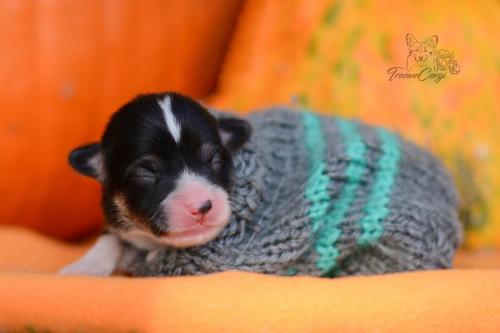 27248868 0b62b753f3bcb95d5b96bf32fc76c1e4 xl