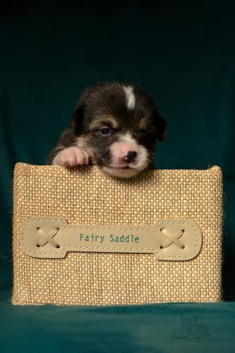 27251552 1bc92c37300946335d30c32fd2dd1705 xl