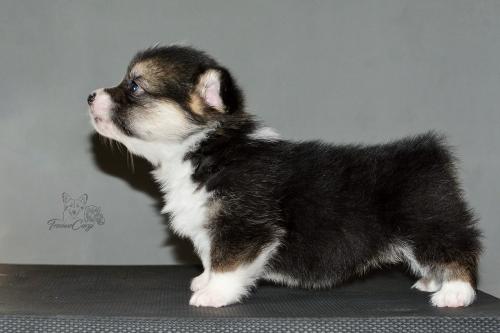 27259400 0a16a082f592b4aa3b01d19b19e0fea9 xl