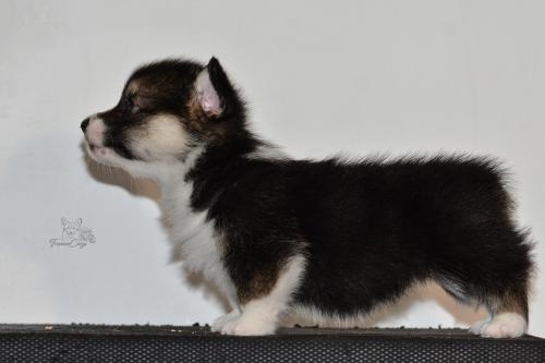 27259436 ded80f7c6caa0d12d0b7223c0b318e19 xl