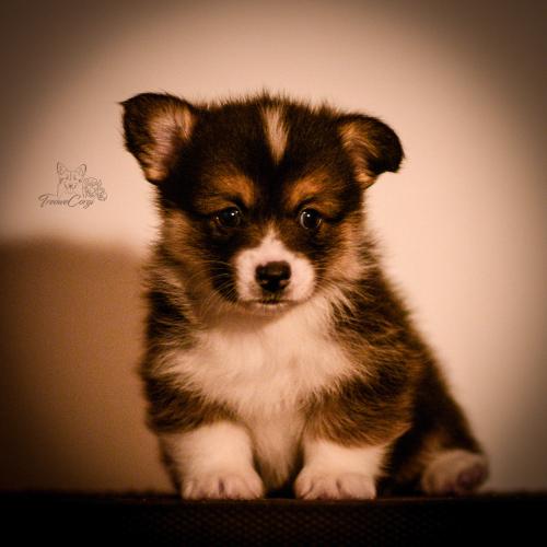 27259438 67aa8c683ba5ec5b18da7abe94bc3b74 xl