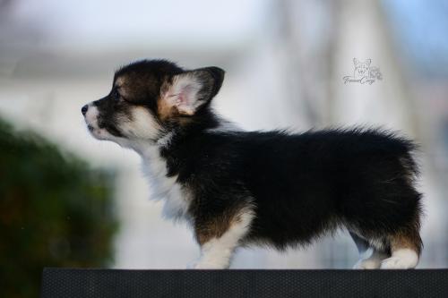 27259480 36bcd130a63a3b65ad86ad5299d28024 xl