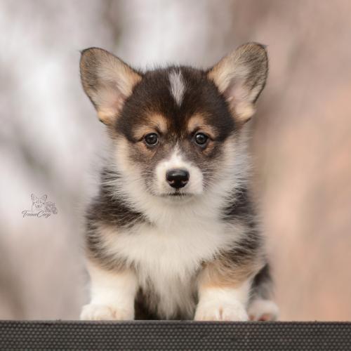 27260606 dd6a96b223728b4162e2bb0c188d9b34 xl