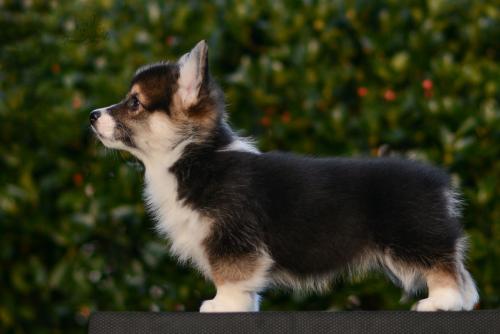 27261796 8454373c29b7ae96b0e03cda8266fdf5 xl