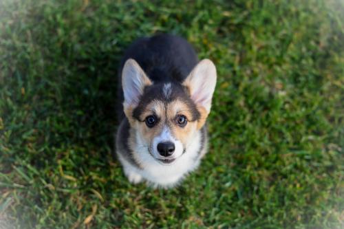 27280136 1053aa0505757af68ce3b387c3048a51 xl