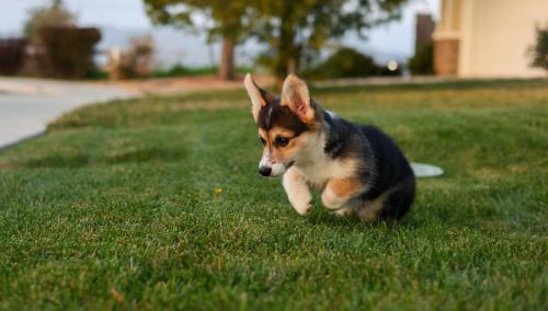 27280138 8294a9afaa0ee136283f66db65b466d1 xl