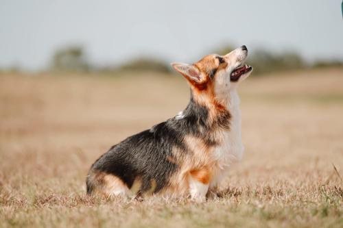 463483631 484838554558801 7665029579477083833 n