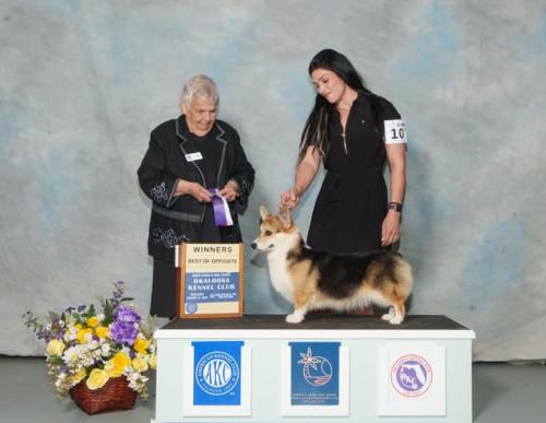 480774106 574877205554935 566005514699172028 n