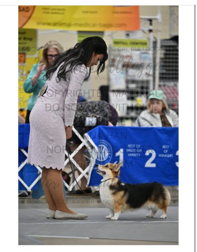 486563730 3949048212075216 6886640734804527457 n