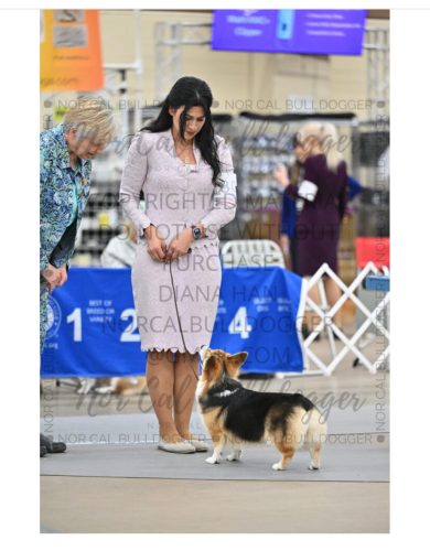 486728219 530956093004632 6853388223204820597 n