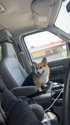 494361636 1228189495370108 773687904294824662 n