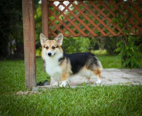 494577045 2139819836444899 6211857732020284575 n