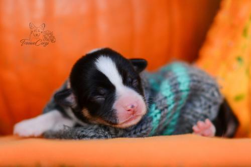 27248844 d602816114ee6f7e5870c52ff8d7e600 xl