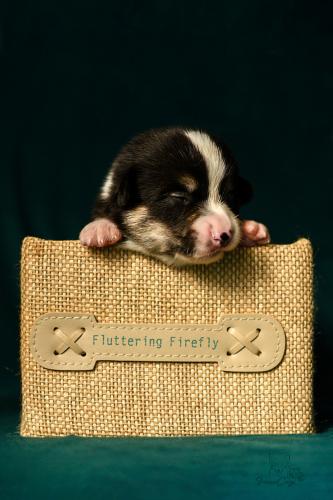 27251548 f93f5c0701c49a3b07e80397e660dbc4 xl