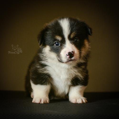 27259390 0b779b2731fa61aeebc6956355714666 xl