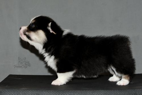 27259392 c6d2726b0cbe53092ead8b8d19860173 xl