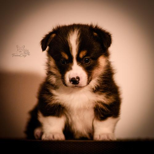 27259418 dd62ba2b835864aeea4c4007c8b31fc6 xl