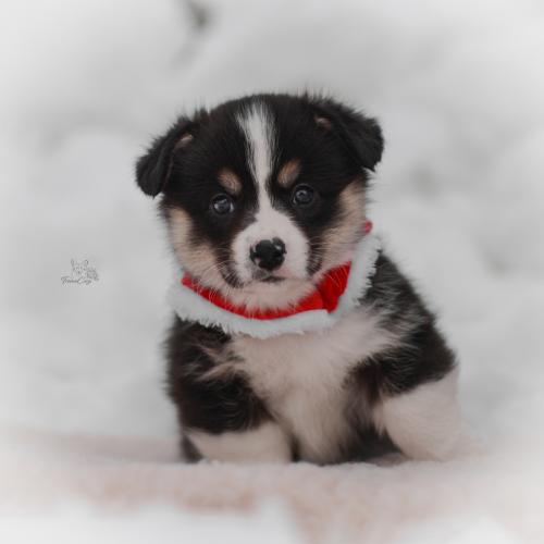 27259452 d981805ca7f8d42b8086f3e03d7b169c xl