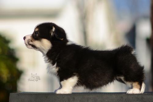 27259472 a4b1e525c6318ae1ffad4cbda1f25c60 xl