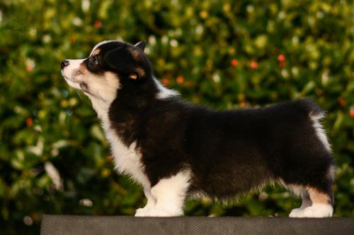 27261790 2bfa0a4343a649f38bd717ad37c280a7 xl