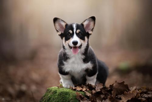 27280122 7963abf37def2ebab0d6e16090e21f72 xl