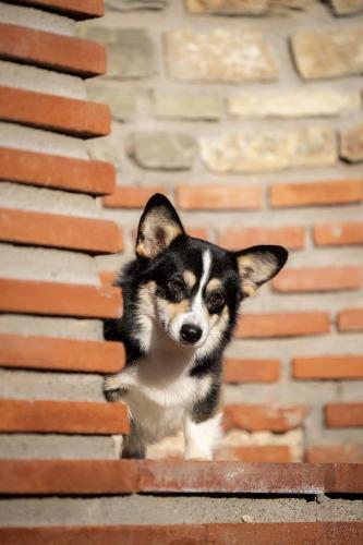 468459824 10235943611589825 5694349876108497010 n