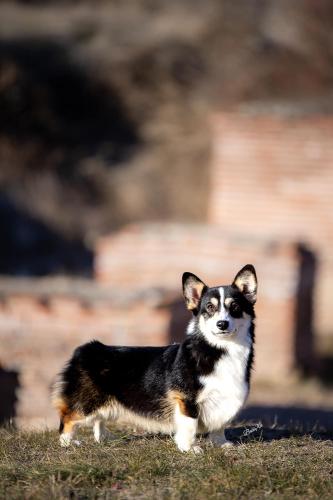 468528890 10235943611949834 1641091651433140646 n