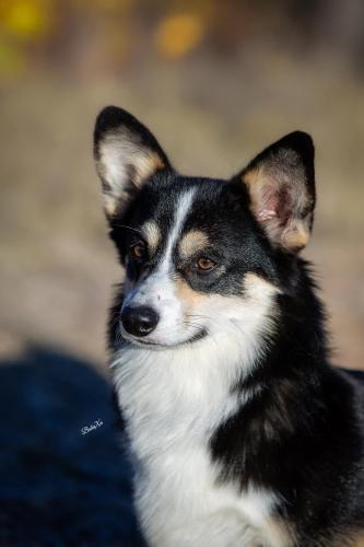 468595714 10235943612629851 8437244323037650831 n