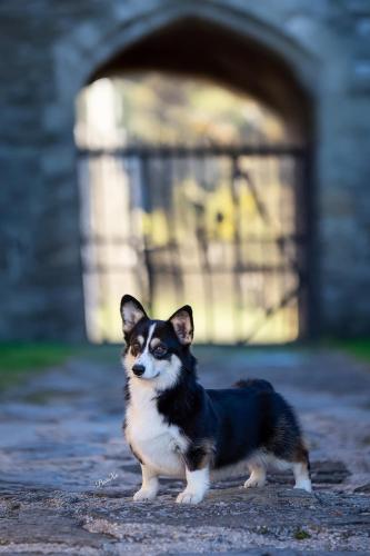 468596400 10235943612109838 2949439796344238086 n