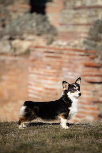 468654943 10235943612309843 4017913544424647372 n