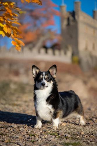 468663903 10235943612469847 3915748029876199559 n