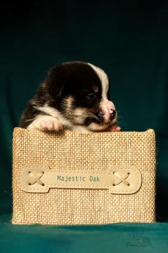 27251556 e94c10e6fa92193e7d0b315ae60fb546 xl