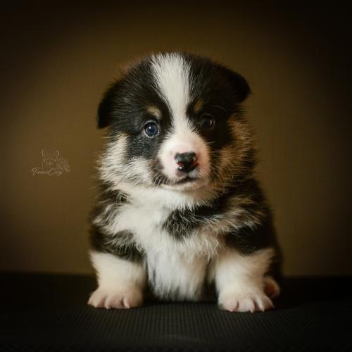 27259410 e7279dd5b92dea3c06a306f949fe7da2 xl