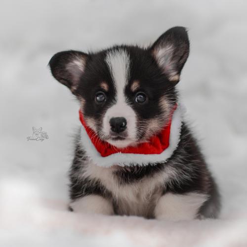 27259460 6e5518435285e320b8e360e598a1be45 xl