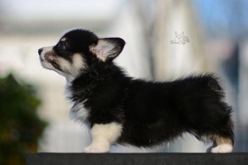 27259464 edc6340785d68543c45e6466b99de75b xl