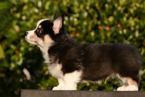 27261804 4c27332e17eb806248ee24f8f4f954f6 xl