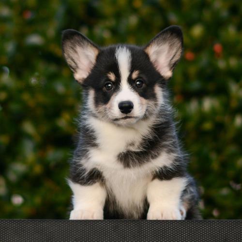 27261806 6a465db113455fa430883f5b84980183 xl