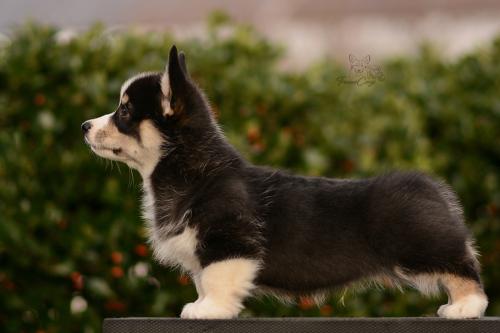 27263542 7c6895297103cb449e7a0b4209c173e8 xl