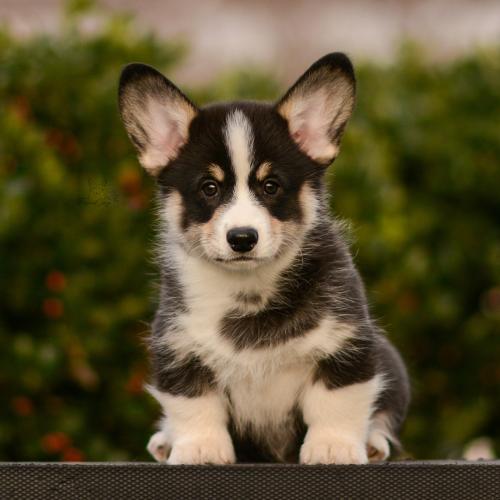 27263544 6613494220a9944c19d98c10d65a4aa8 xl