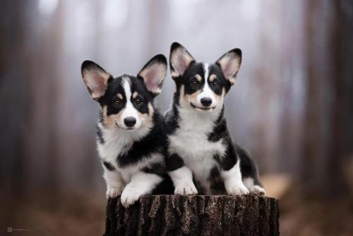 27280124 e503a6621b657bc558956cc30ecfb890 xl